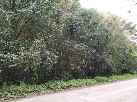 Terreno en venta - 1330Mts2 - Punta Indio