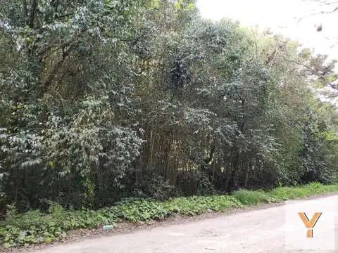 Terreno en venta - 1330Mts2 - Punta Indio
