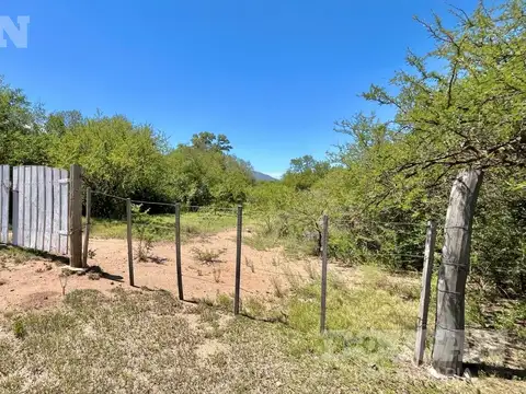 Las Verbenas (Cerro de Oro)