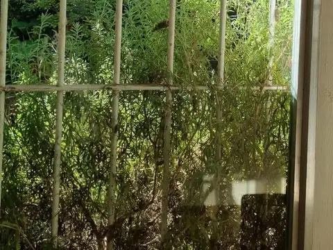Depto Tipo Casa en Alquiler de 2 dormitorios