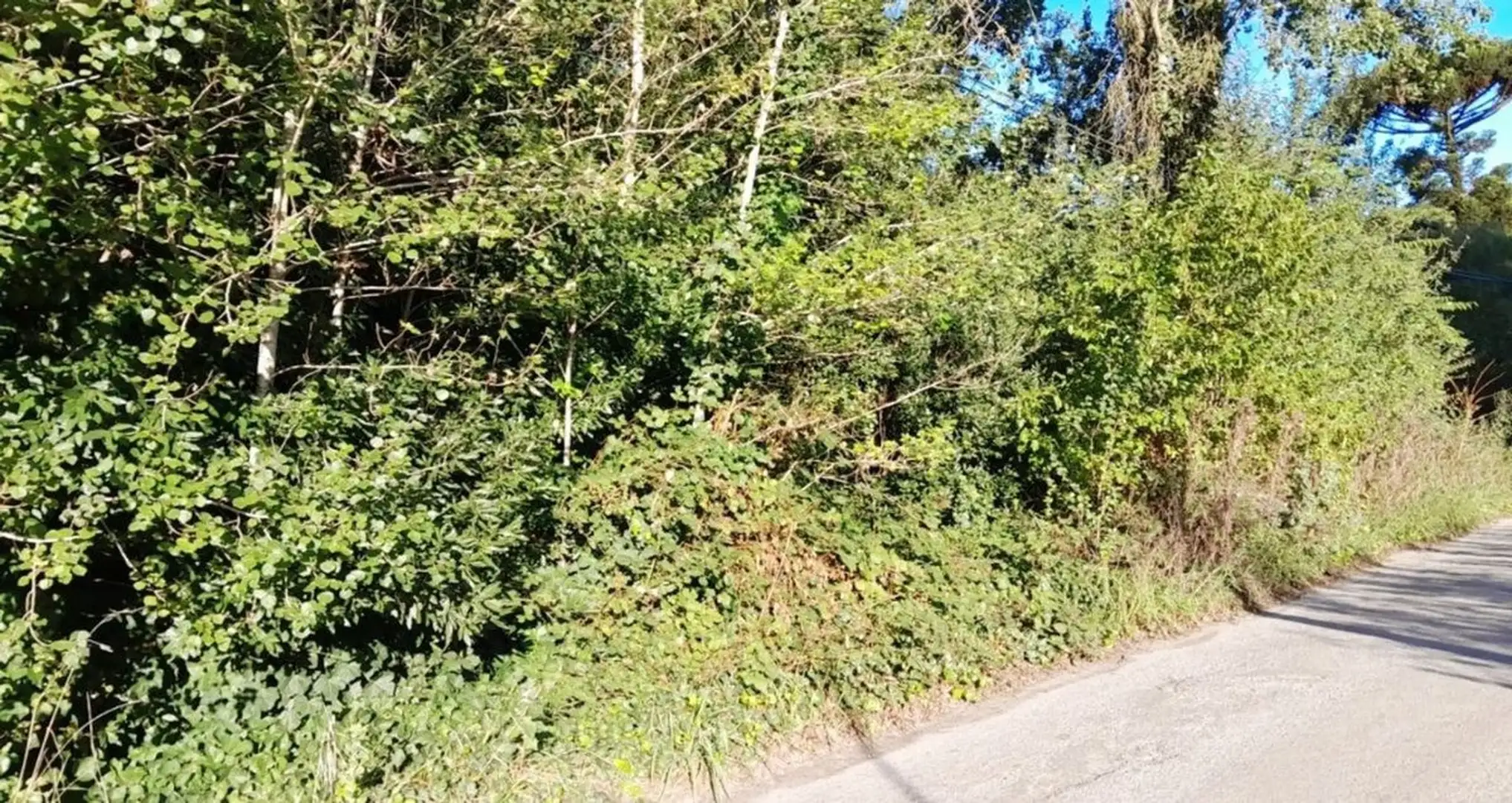 VENTA DE LOTE EN EL TEJADO