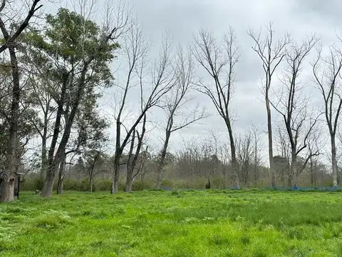 Terreno en Venta de 25000,0 m2