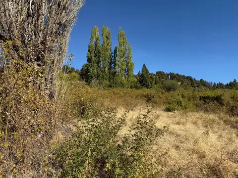 Viví la Patagonia,terreno frente al Lago Mosquito