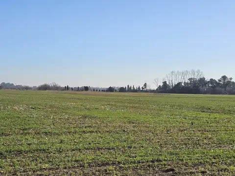 Campo en Venta de 71  ha