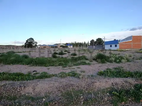 Terreno en Venta en Chichinales, General Roca