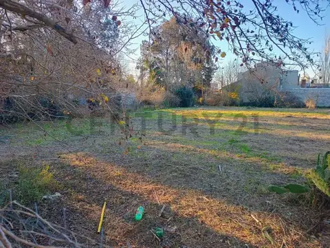 Terreno en Venta 50  mts Fondo