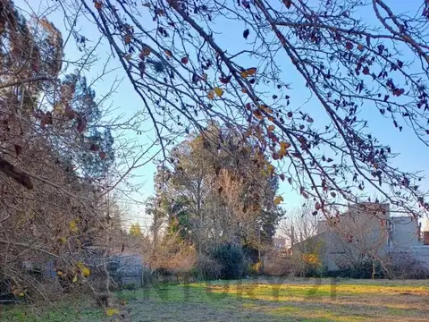 Terreno en Venta 50  mts Frente