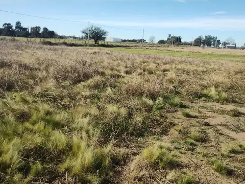 Terreno en Venta de 1124,0 m2