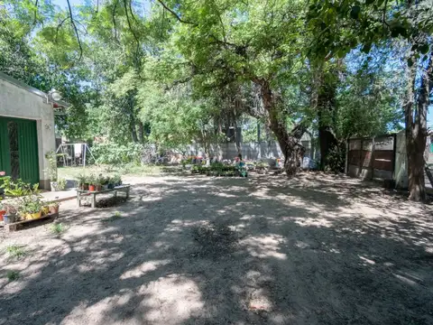 Maciel 1800
