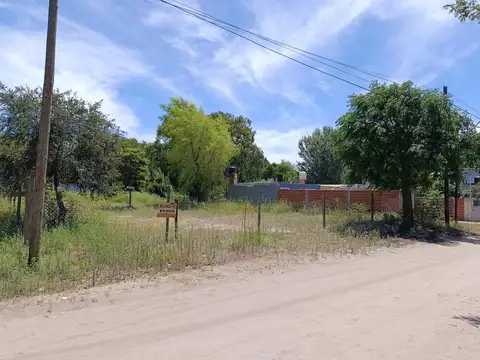 Terreno en Venta de 919,0 m2