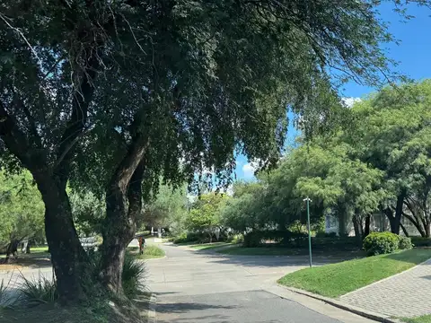 Terreno en Venta 50  mts Fondo