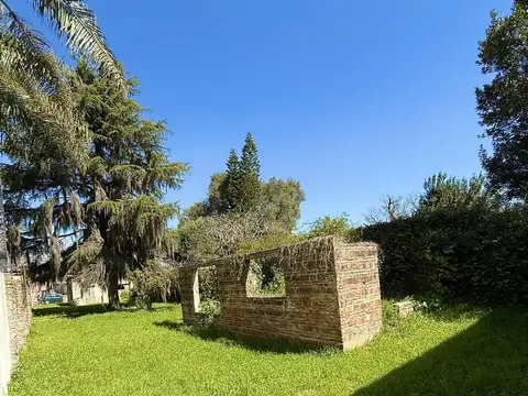 Oportunidad única en una de las zonas más tradicionales y consolidadas de la ciudad.