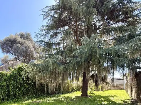 Terreno en Venta 52  mts Fondo
