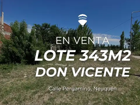 Lote E2 En Venta Loteo Don Vicente En Neuquén