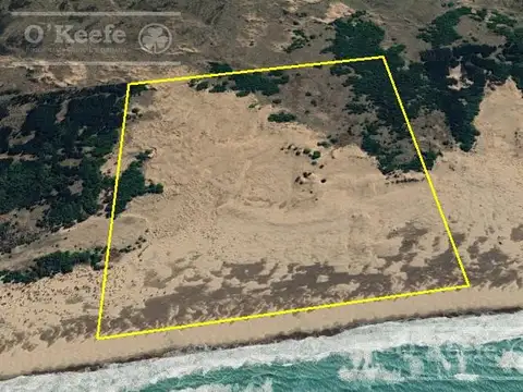 Campo en venta de 120 has en Tres Arroyos