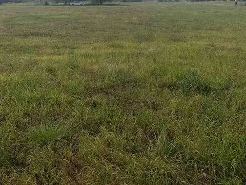 Terreno en Venta de 5495,0 m2