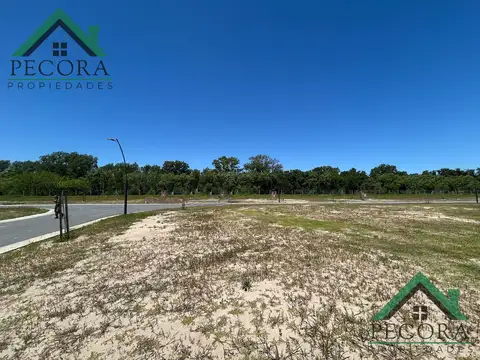 Nativas - interno - Lote 339 - Puertos del Lago