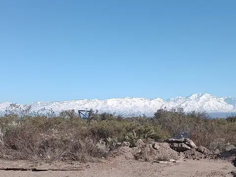 CAMPO EN VENTA 1307 HA ANCHORIS TUPUNGATO RUTA 40