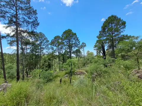 Campo en Venta de 17  ha