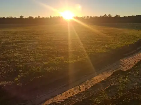 Venta de Lotes Financiados - LOTEO CAMPO ESQUINA