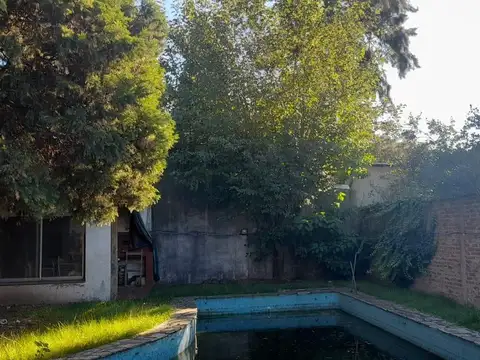 Serrano  al 800