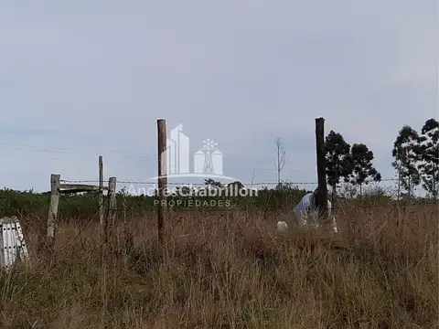 Terreno de 30.000 m² subdivisible – Colonia Ayuí, Concordia (Entre Ríos)