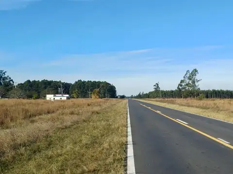 Terreno 4.5ha en Pje Batel, Sobre Ruta Nac. 12