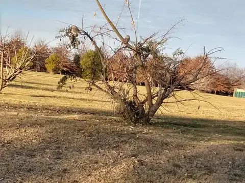 Terreno en Venta  en Barrio La Primavera Golf , Lujan