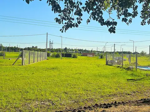 Venta Lote Palo Alto - Alvear, Santa Fe