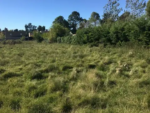 Terreno en Venta 22  mts Fondo