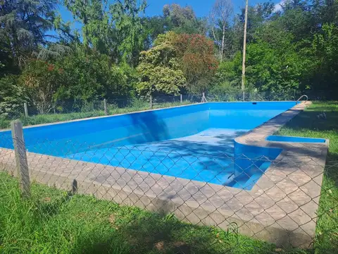 Las Coniferas Y Las Rosas