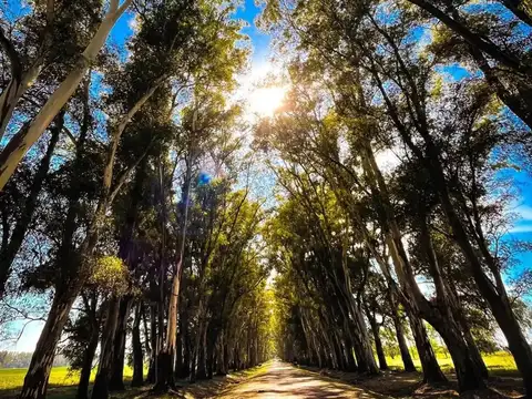 Terreno en Venta en Carlos Keen, USD 22.500