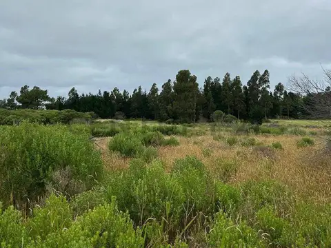 Terreno en Venta de 394,0 m2