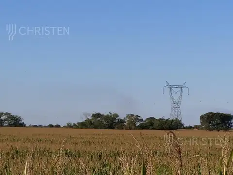 Cayastacito A 500 metros de la ruta 62