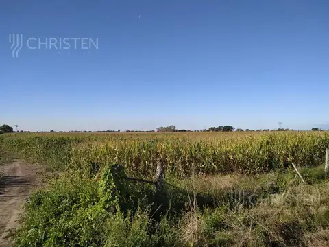 Cayastacito A 500 metros de la ruta 62