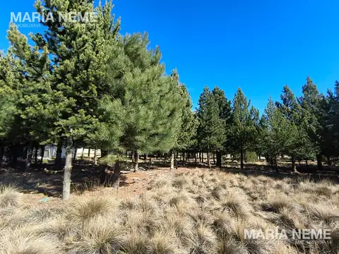 Lote L10 en Club de Campo Dos Valles