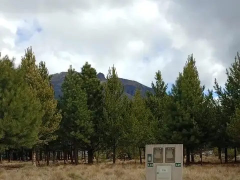 Terreno en Venta de 1160,0 m2