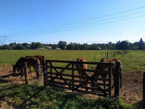 VENTA LOTE, ALTOS DE MANZANARES, MANZANARES