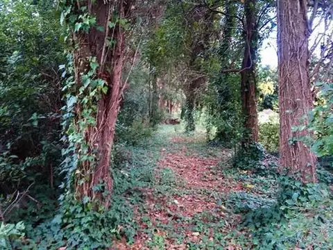 Brisas del Sud
