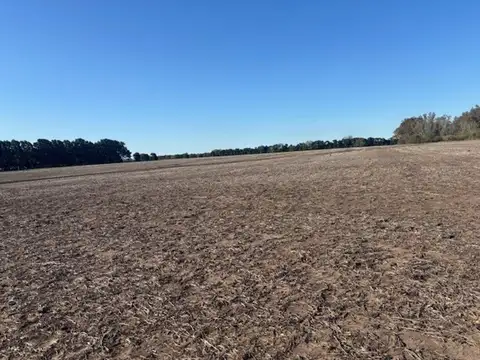 Rural 3000