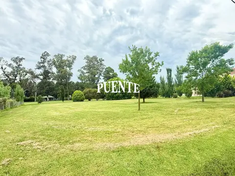 Fincas de San Vicente Golf