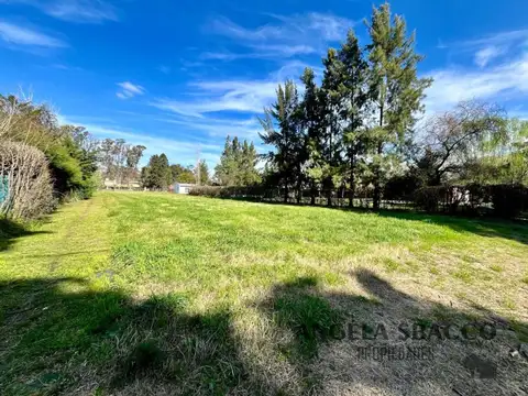Arroyo Giles, Parque Exaltación.