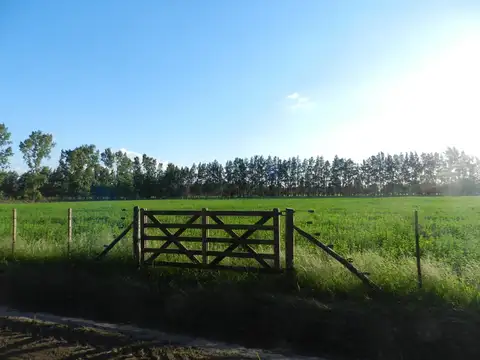 Campo en Venta de 3,50  ha