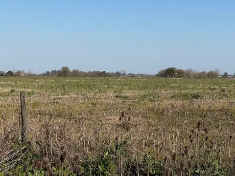 Campo en venta en ibarlucea 