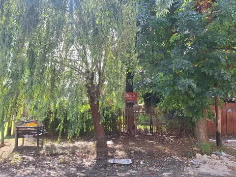 Terreno en Venta 10  mts Frente