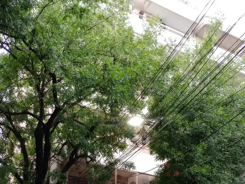 Departamento en Alquiler 17 años