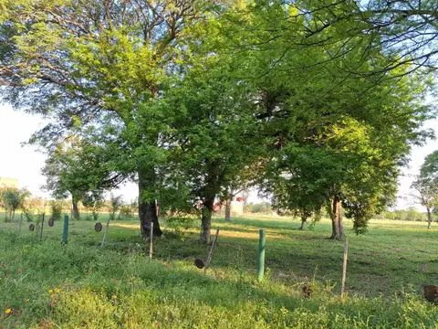 VENTA DE TERRENO EN RIACHUELO CORRIENTES