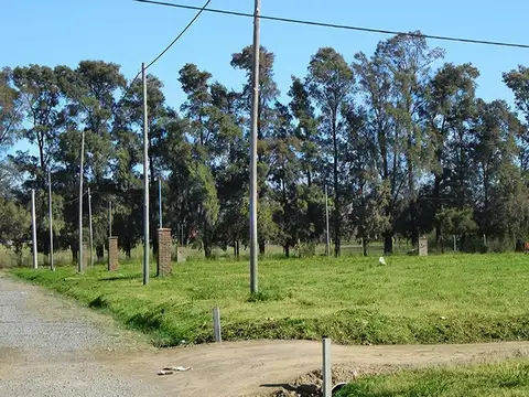 Terreno en Venta de 300,0 m2