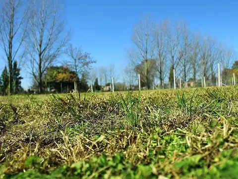 Terreno en Venta 10  mts Frente