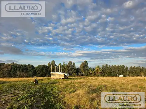 1 hectarea en venta en Colonia del Sacramento - Uruguay